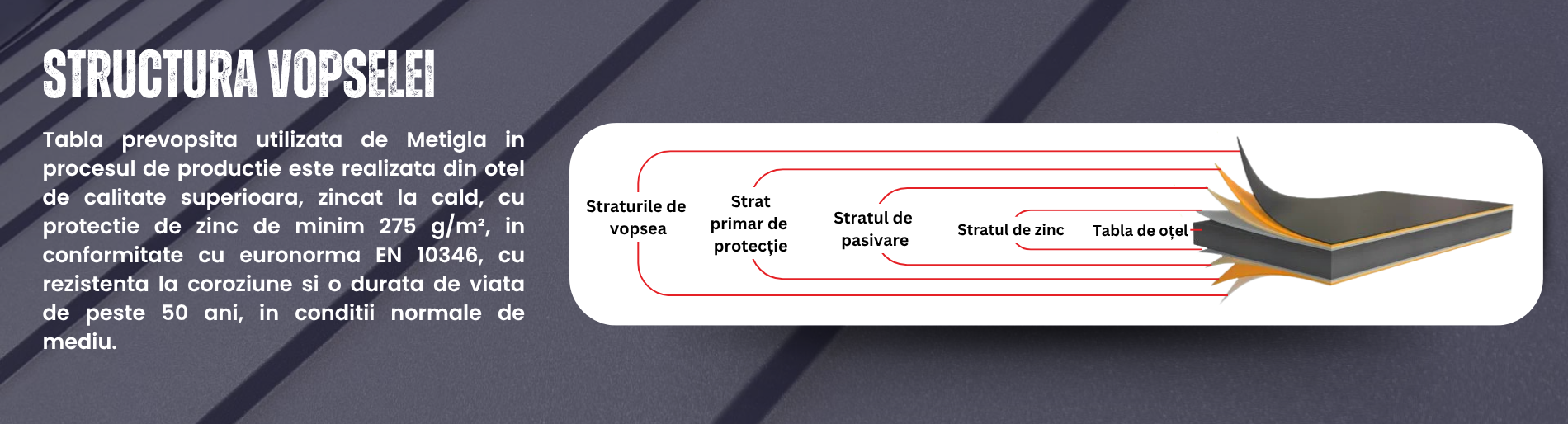Structura vopselei