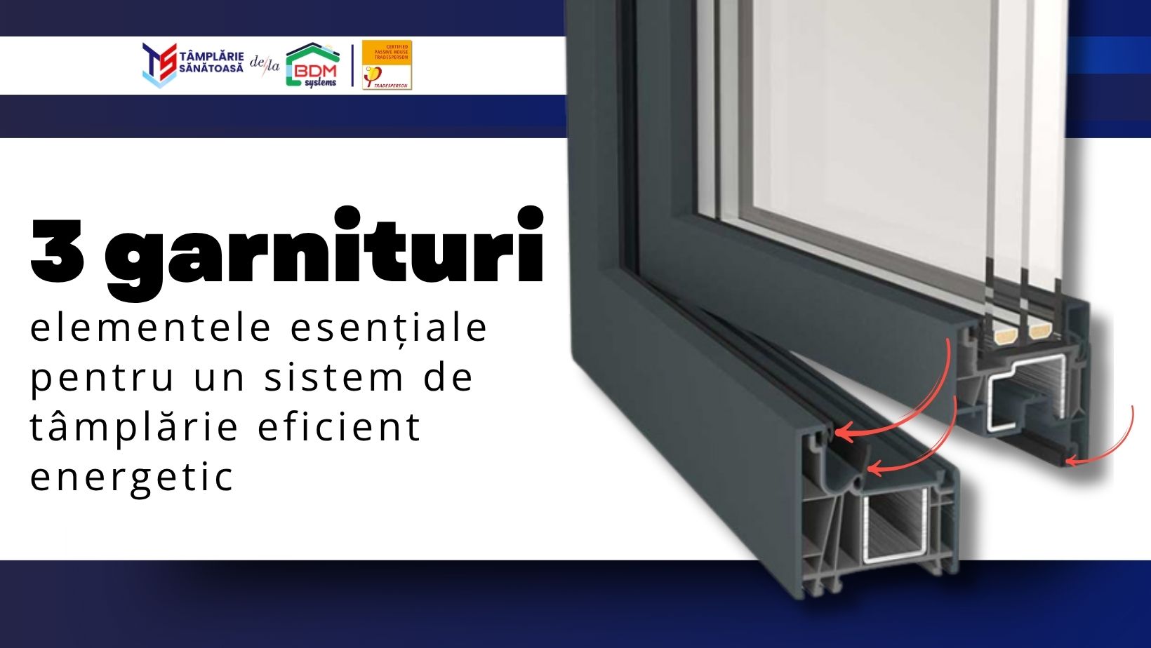 ferestre cu 3 garnituri